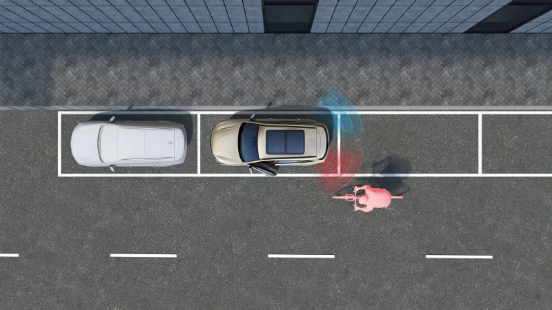 Безопасный выход из автомобиля DOW